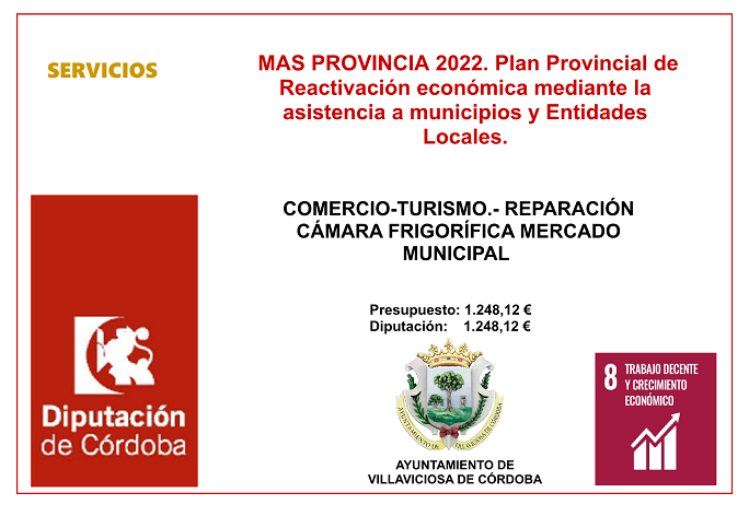 MAS PROVINCIA 2022. Plan Provincial de Reactivación económica mediante la asistencia a municipios y Entidades Locales.