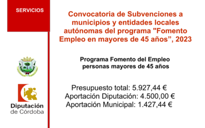 Convocatoria de Subvenciones a municipios y entidades locales autónomas «Fomento de Empleo de mayores de 45 años