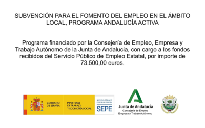 PROGRAMA FOMENTO DEL EMPLEO ANDALUCIA ACTIVA