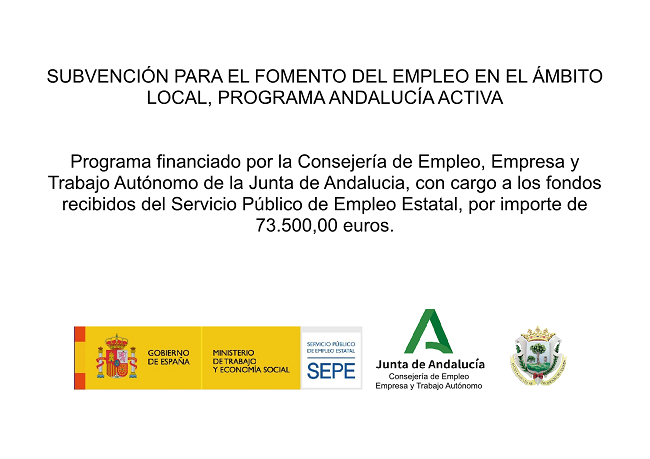 PROGRAMA FOMENTO DEL EMPLEO ANDALUCIA ACTIVA